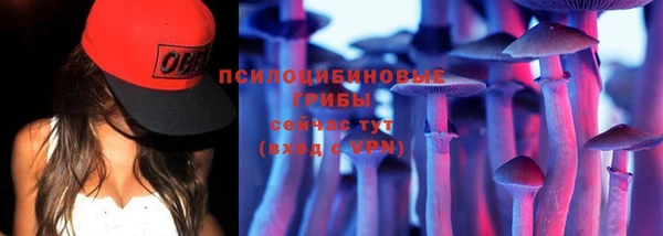 ГАЛЛЮЦИНОГЕННЫЕ ГРИБЫ Алапаевск