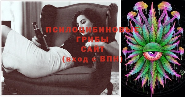 бошки Магас