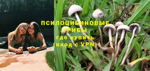 синтетический гашиш Медвежьегорск