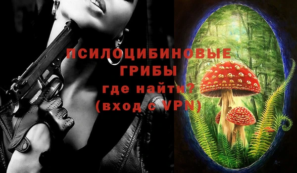 бошки Магас