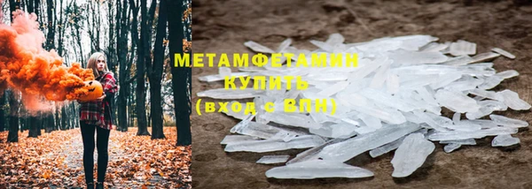 прущие грибы Мегион